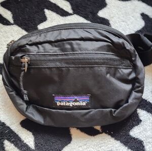 NWT Patagonia mini hip pack